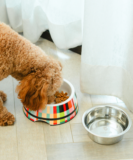 Super Saver Abstract Bowl & Clutch Ball Toys