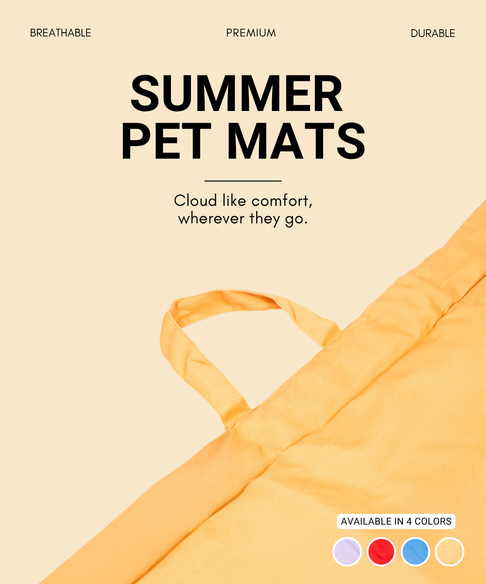 Coloured Pet Mat - Yellow