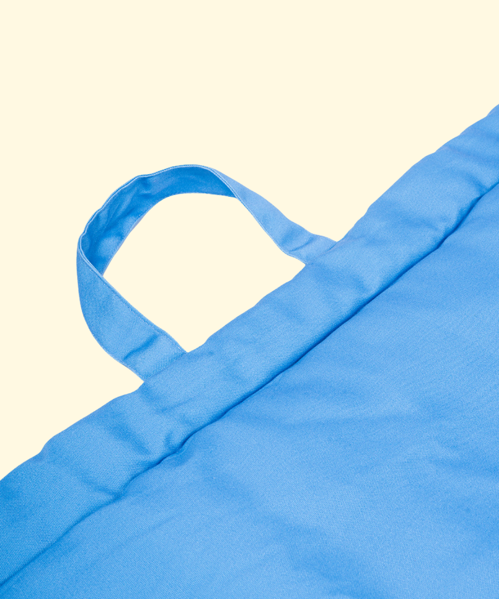 Coloured Pet Mat - Blue