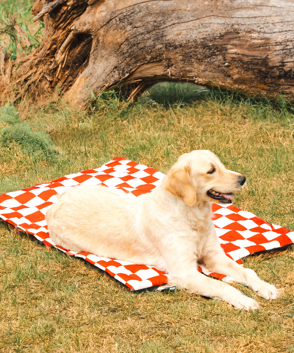 Cozy Checks Pet Mat