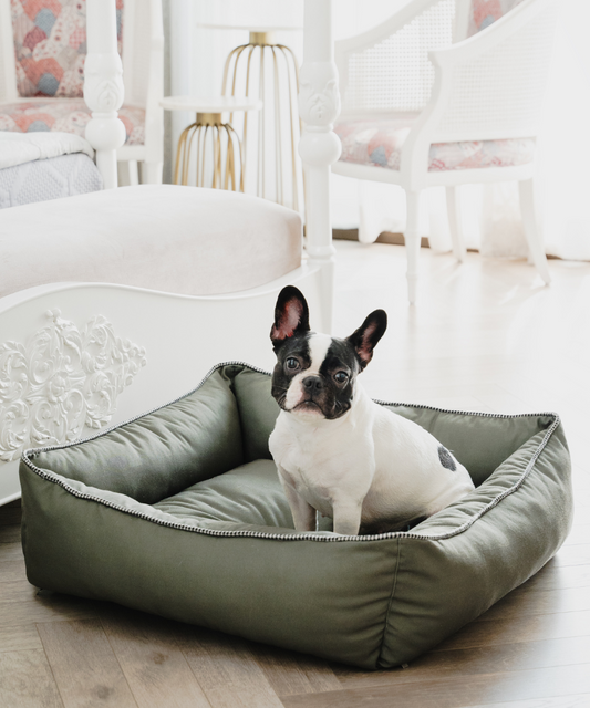 The Olive Lounger Dog Bed
