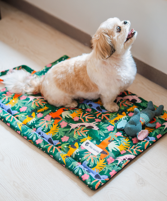 Pawradise Pet Mat