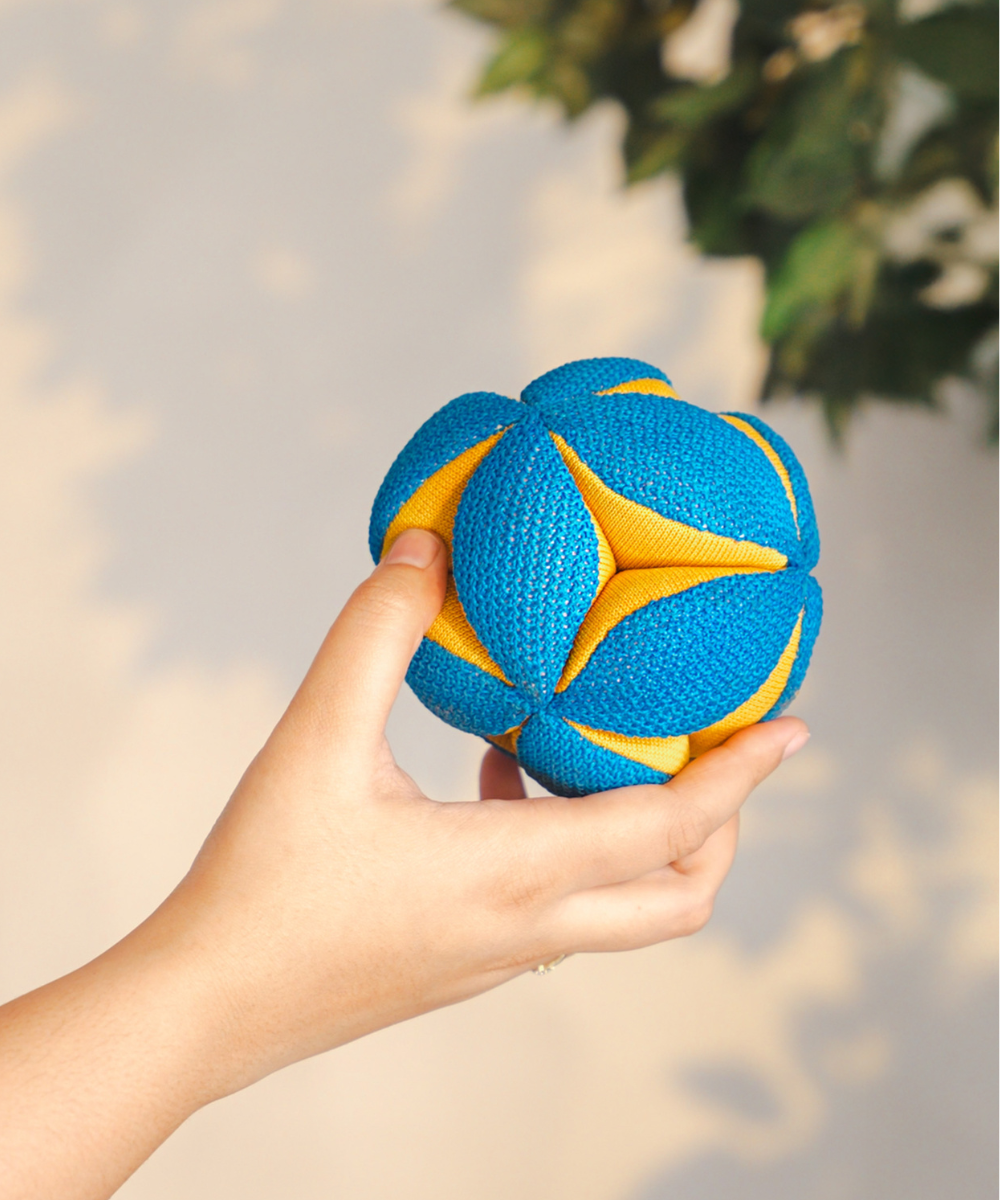 Pack of 2 Dog Toys- Goofy