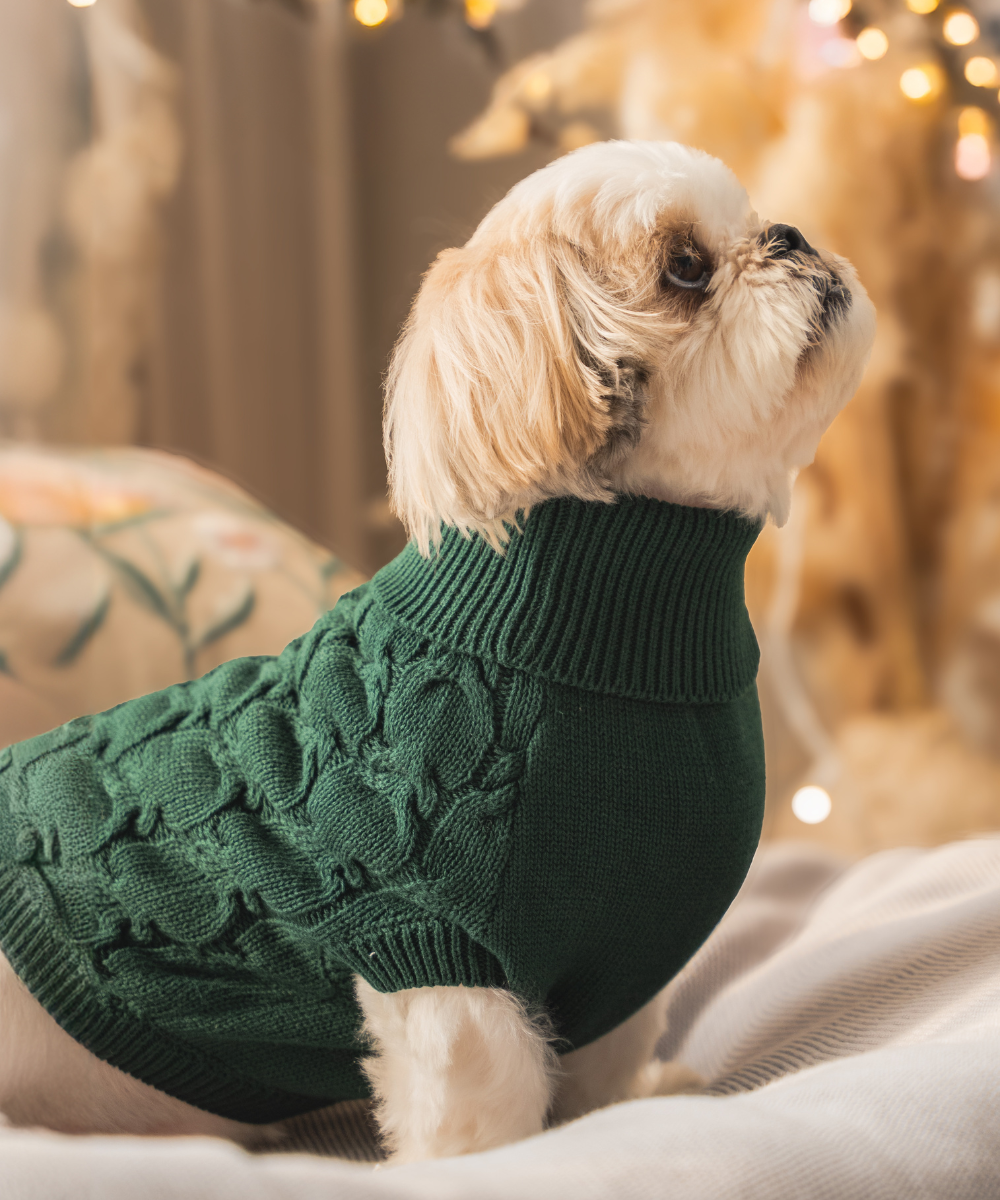 Jingle Dog sweaters Pack of 2