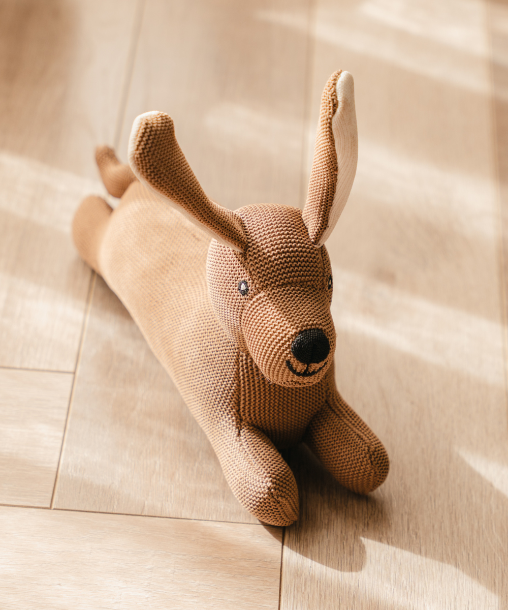 Pack of 2 Dog Toys- Goofy