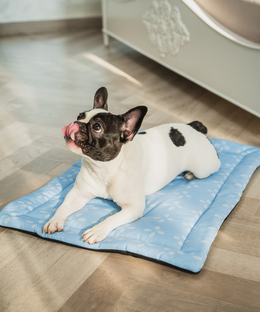 Sky Bloom Pet Mat