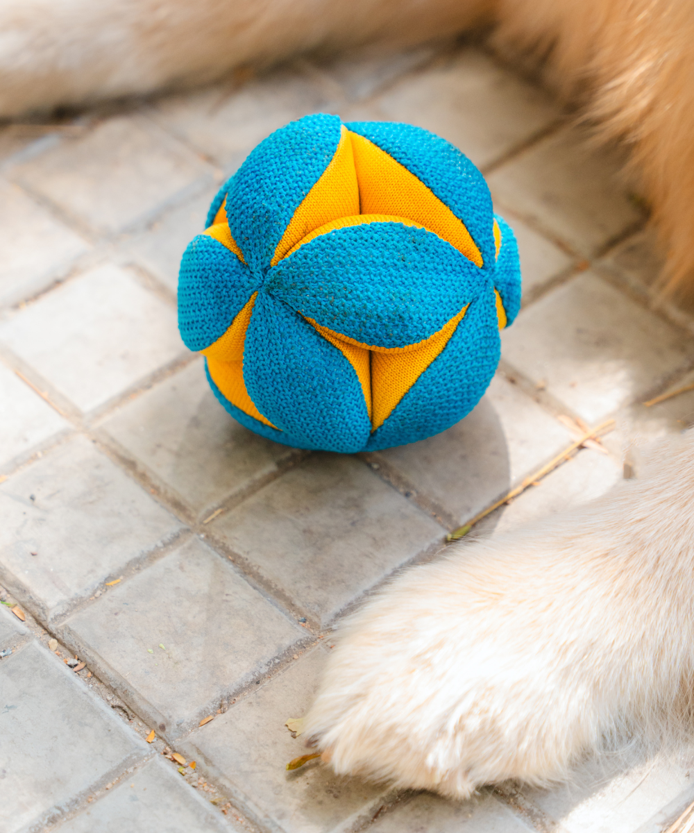 Pack of 2 Dog Toys- Goofy