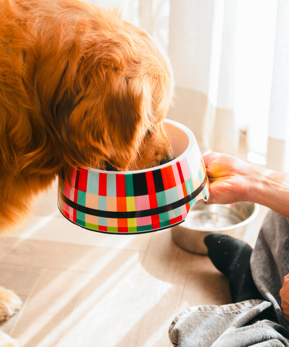 Super Saver Abstract Bowl & Clutch Ball Toys