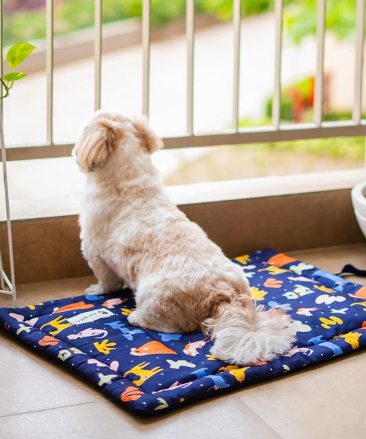 Woofy Wonderland Pet Mat