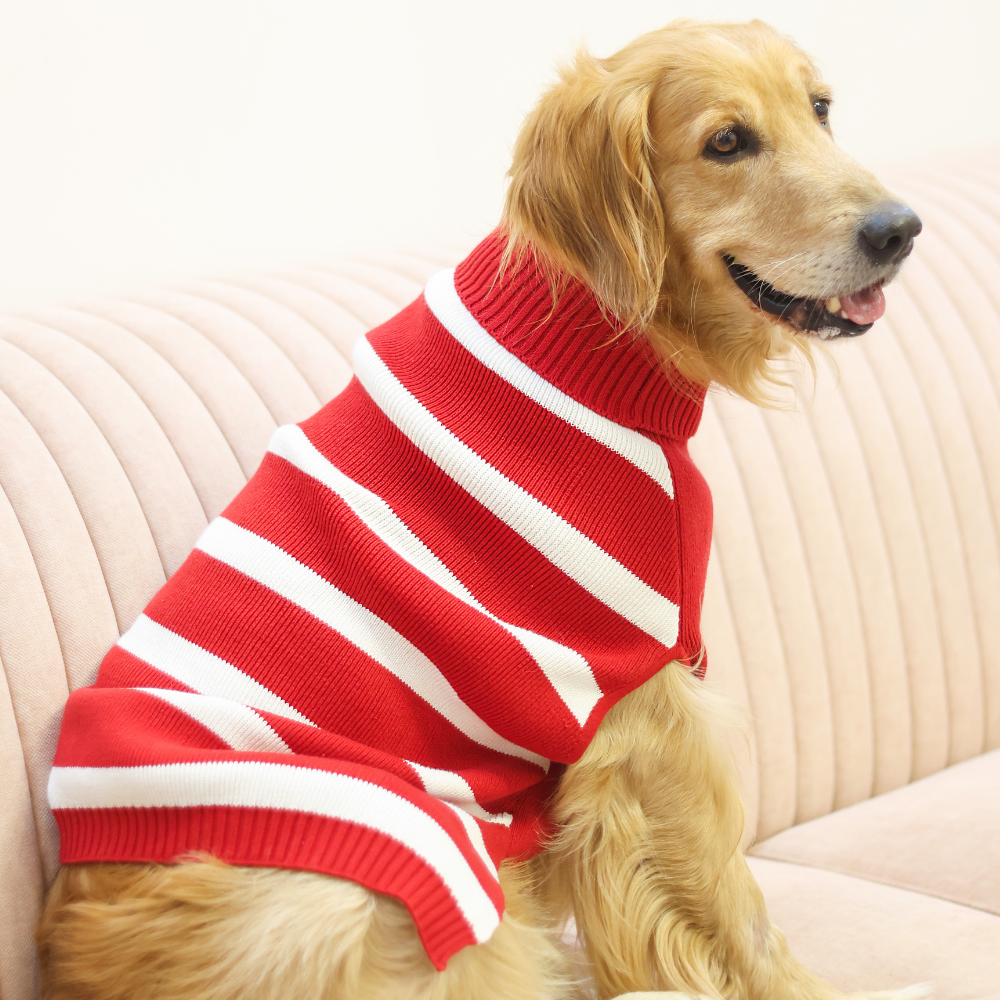 Red Striped Sweater