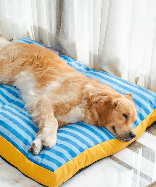 Stripes Flat Dog Bed