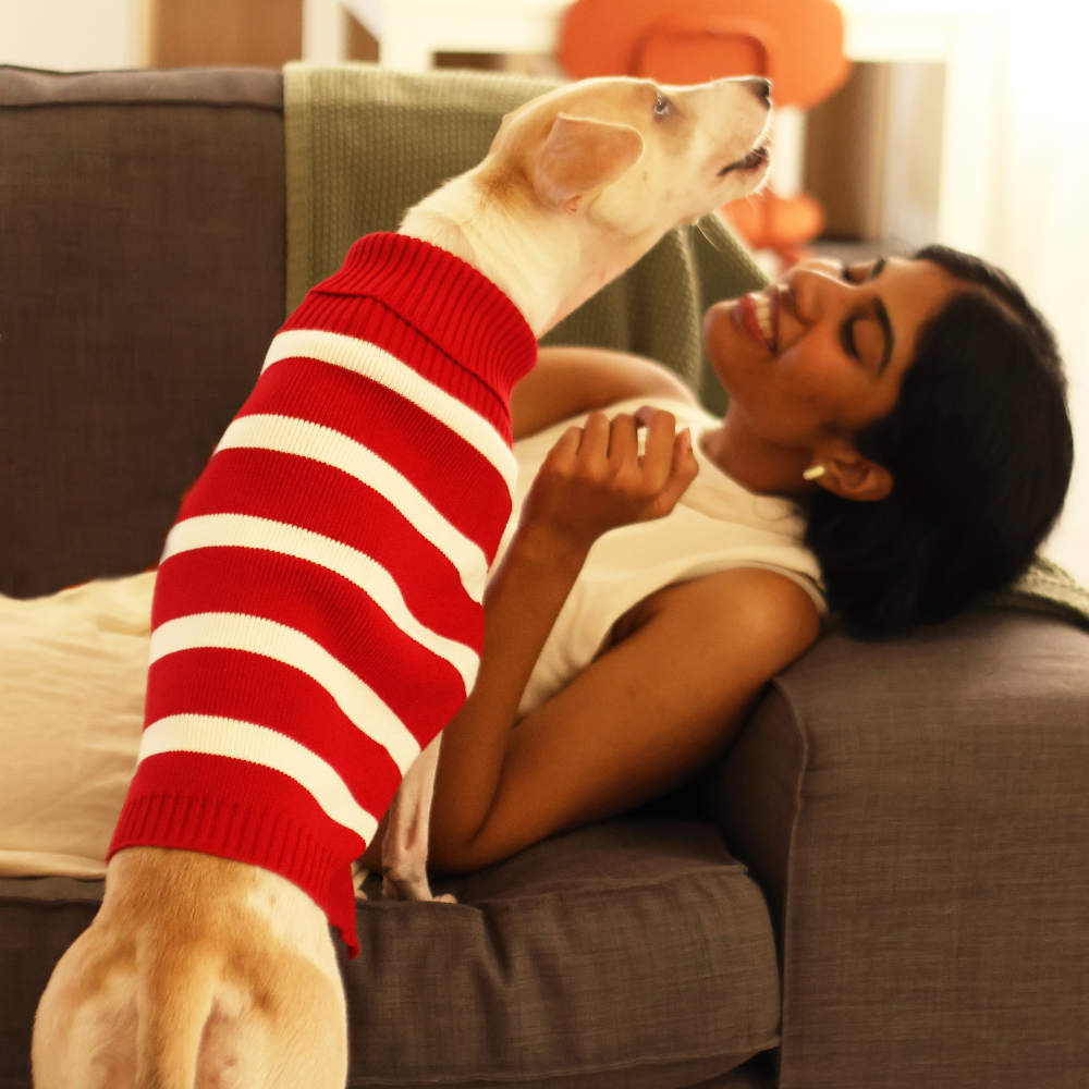 Red Striped Sweater