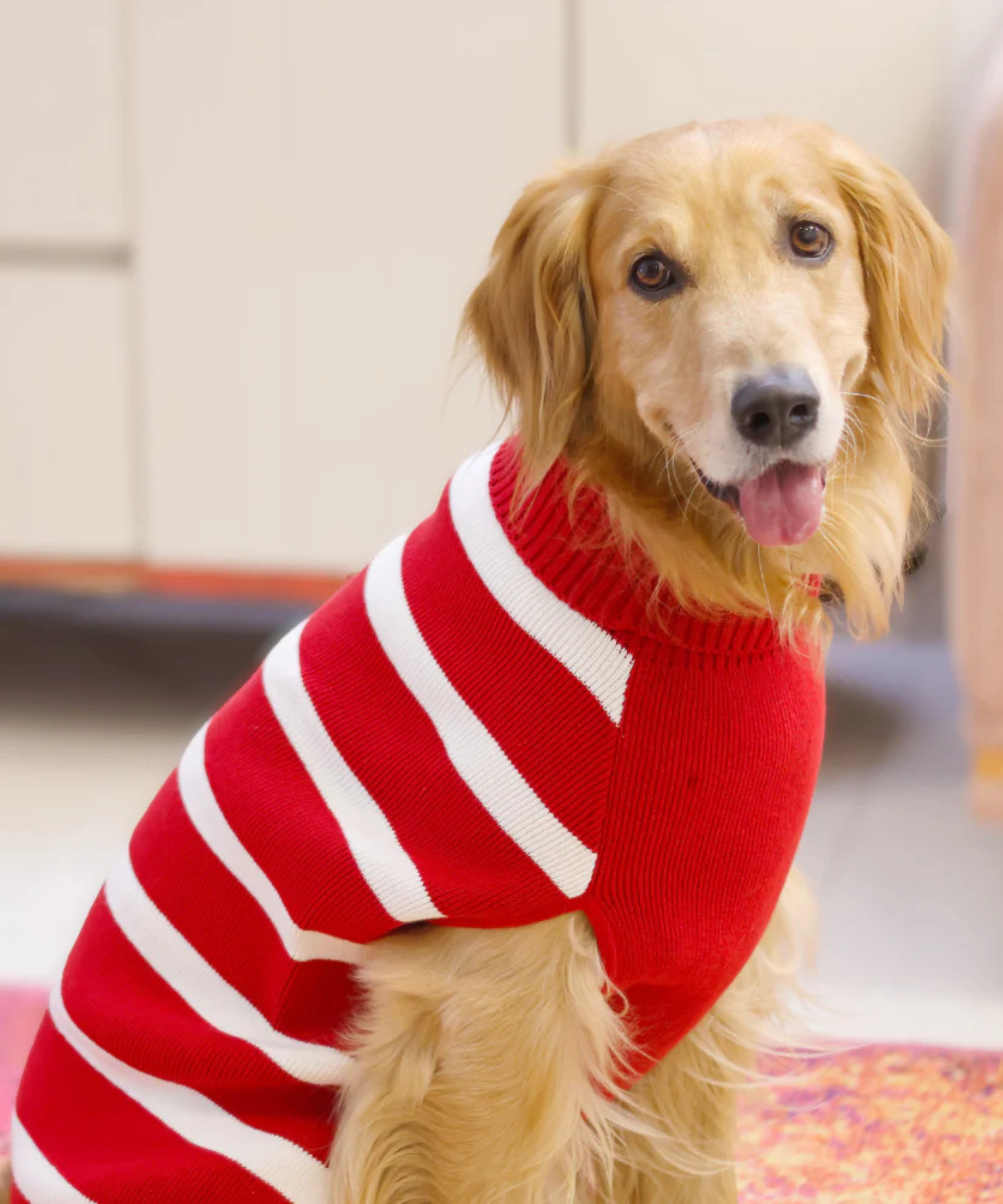 Red Striped Sweater