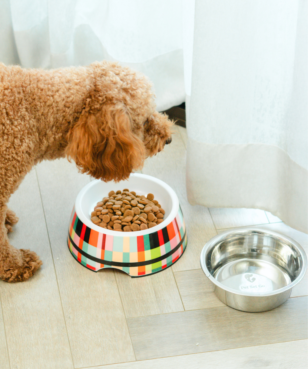 Super Saver Abstract Bowl & Long Plush Toy