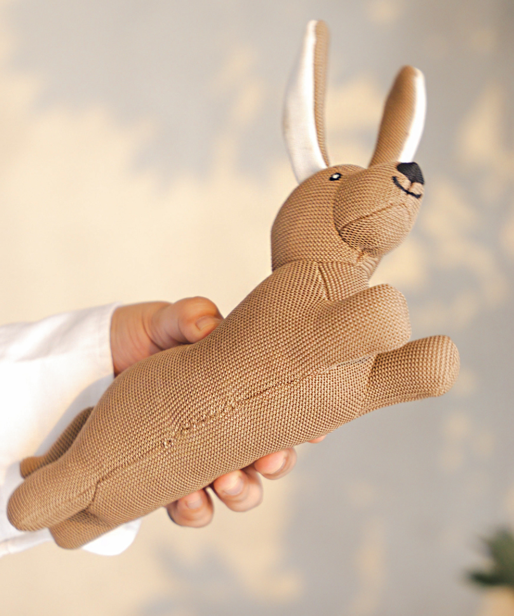 Pack of 2 Dog Toys- Goofy