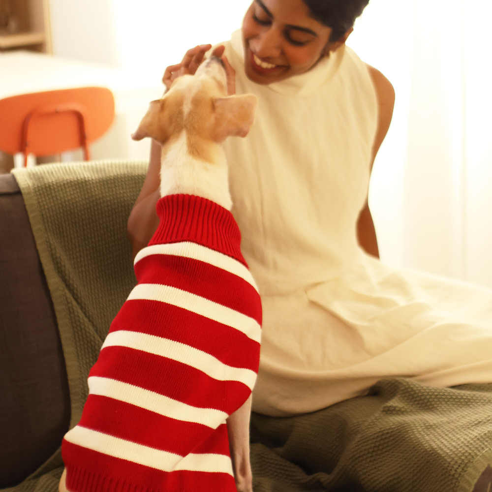 Red Striped Sweater