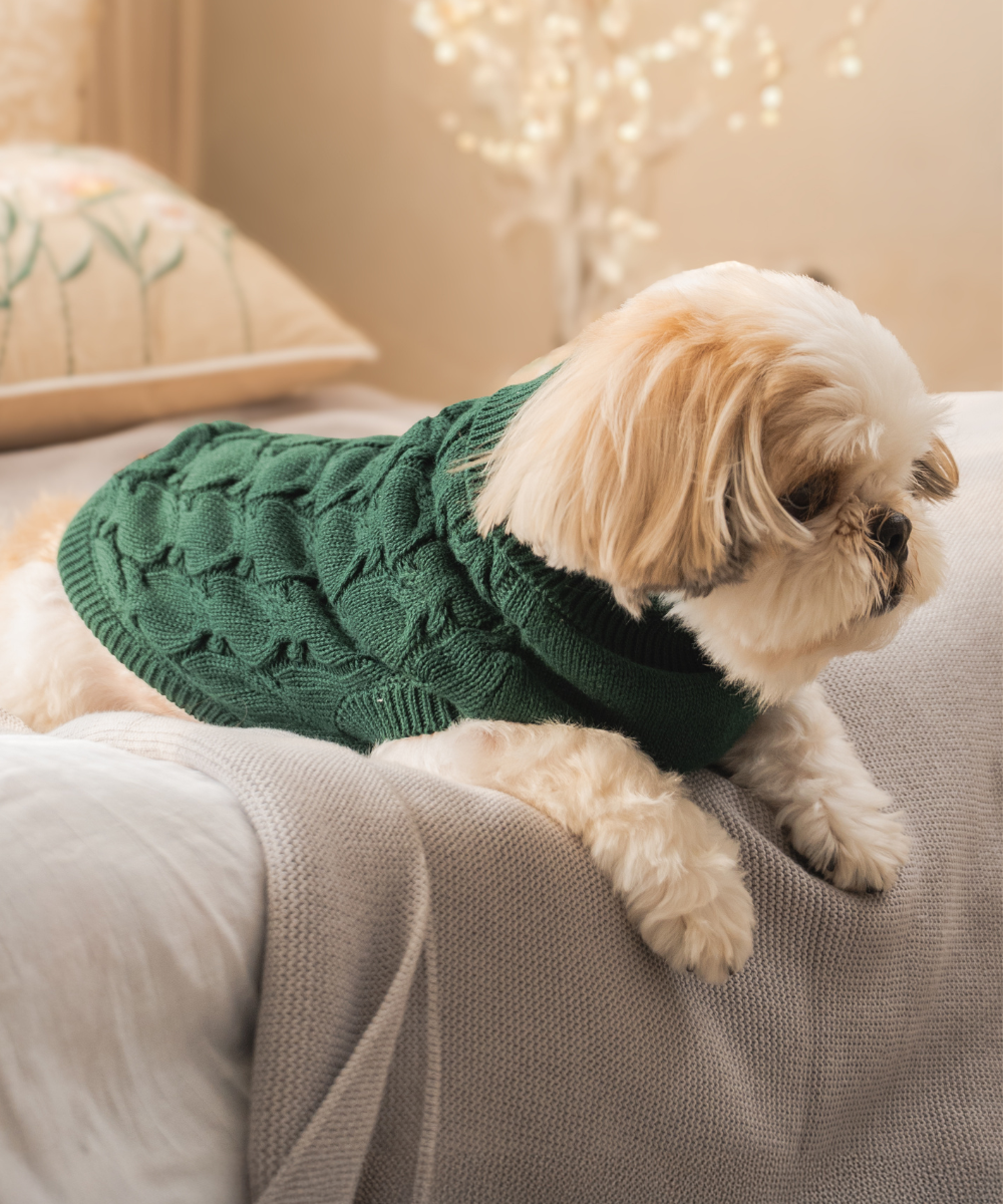 Jingle Dog sweaters Pack of 2