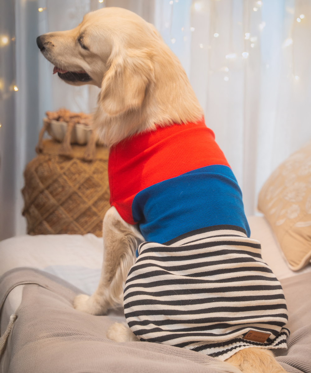 Wintry Dog sweaters Pack of 2