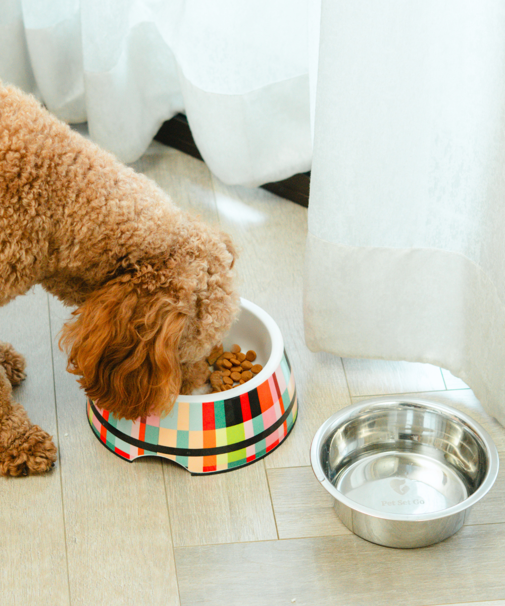 Super Saver Abstract Bowl & Clutch Ball Toys