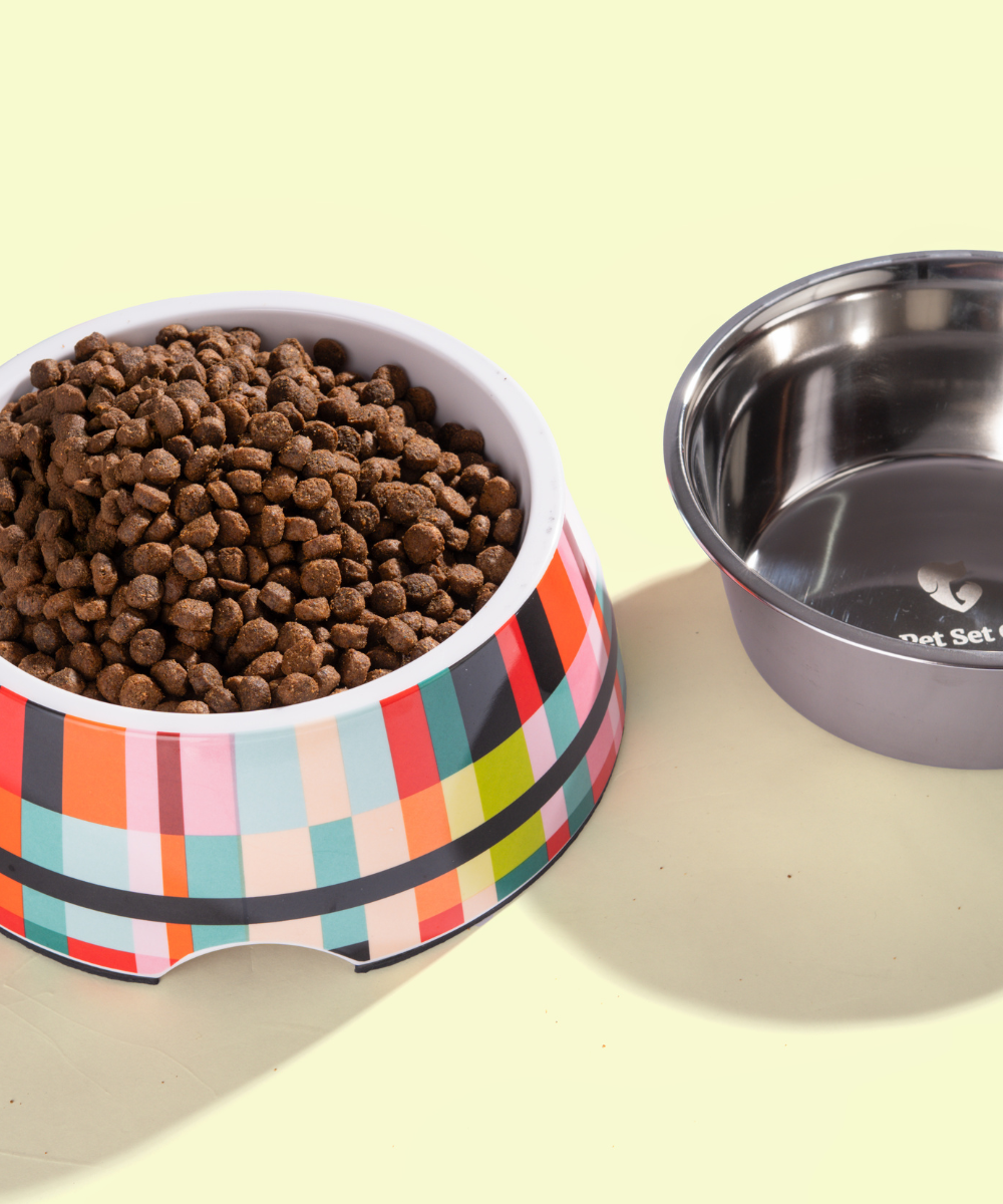 Super Saver Abstract Bowl & Long Plush Toy