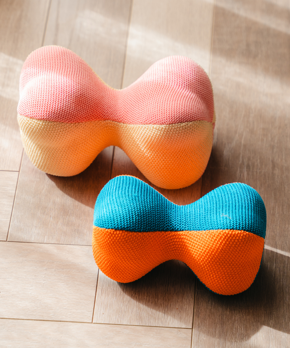 3D Bone Plush Dog Toy