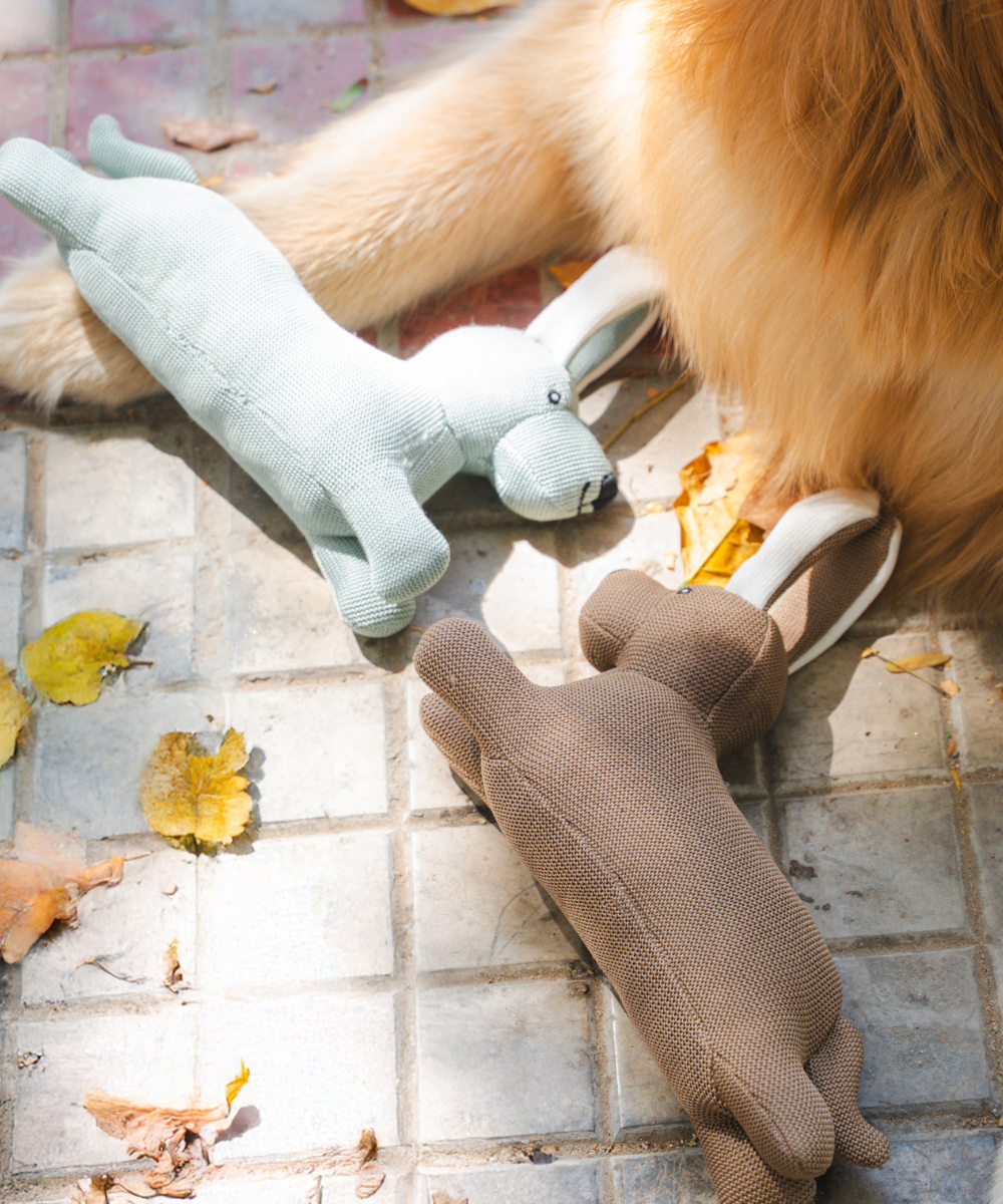 Pack of 2 Dog Toys- Playful