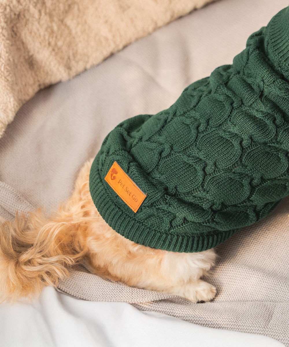 Snowy Dog sweaters Pack of 3