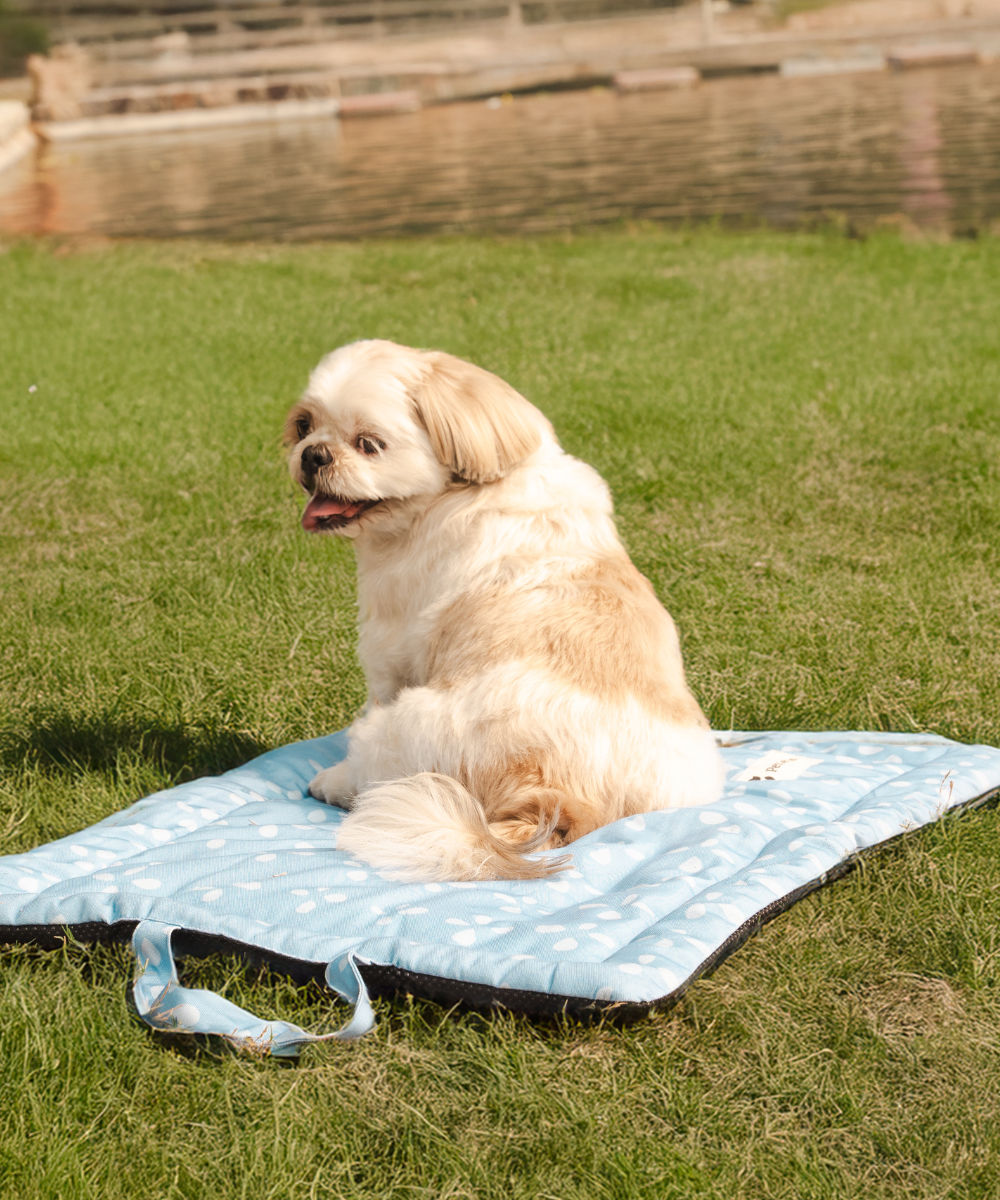 Sky Bloom Pet Mat