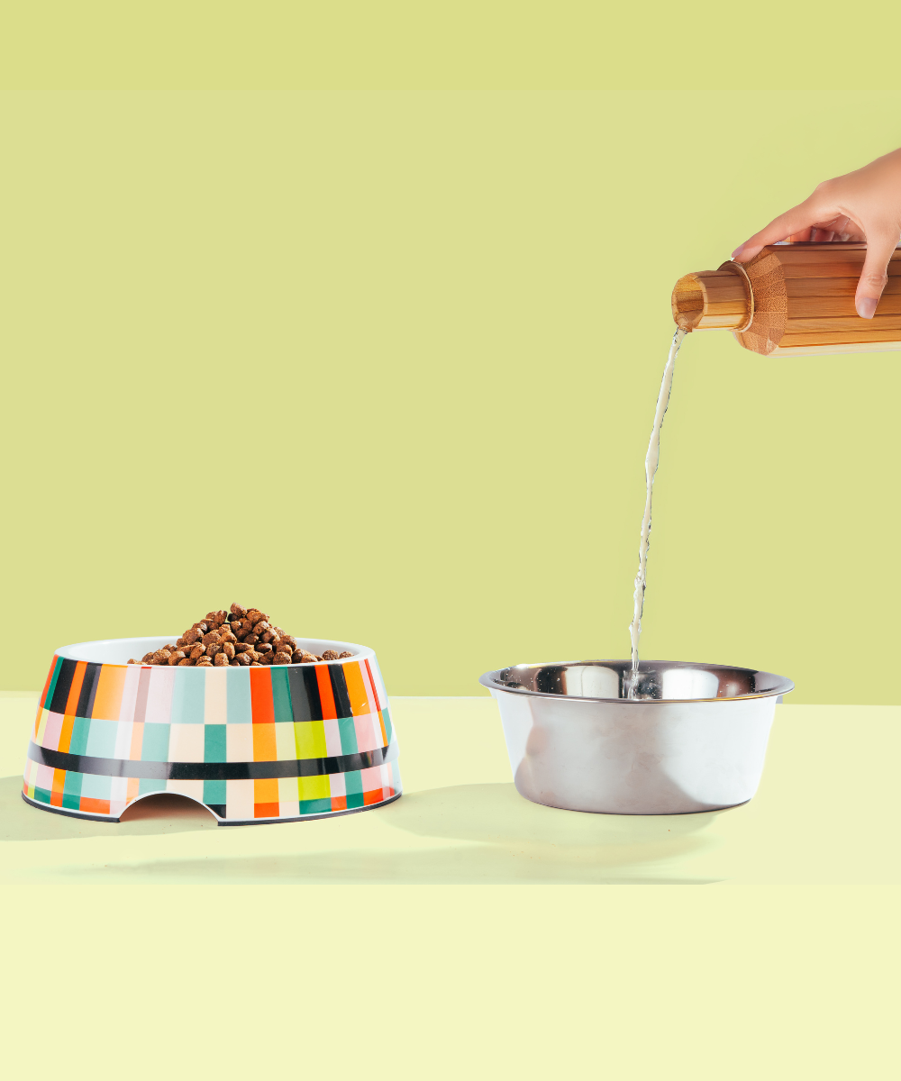 Super Saver Abstract Bowl & Long Plush Toy