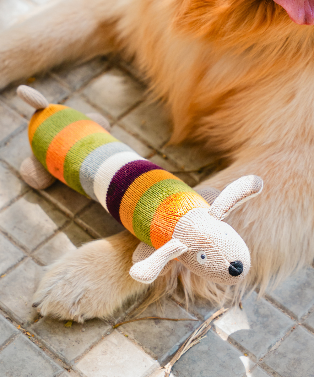 Super Saver Abstract Bowl & Long Plush Toy