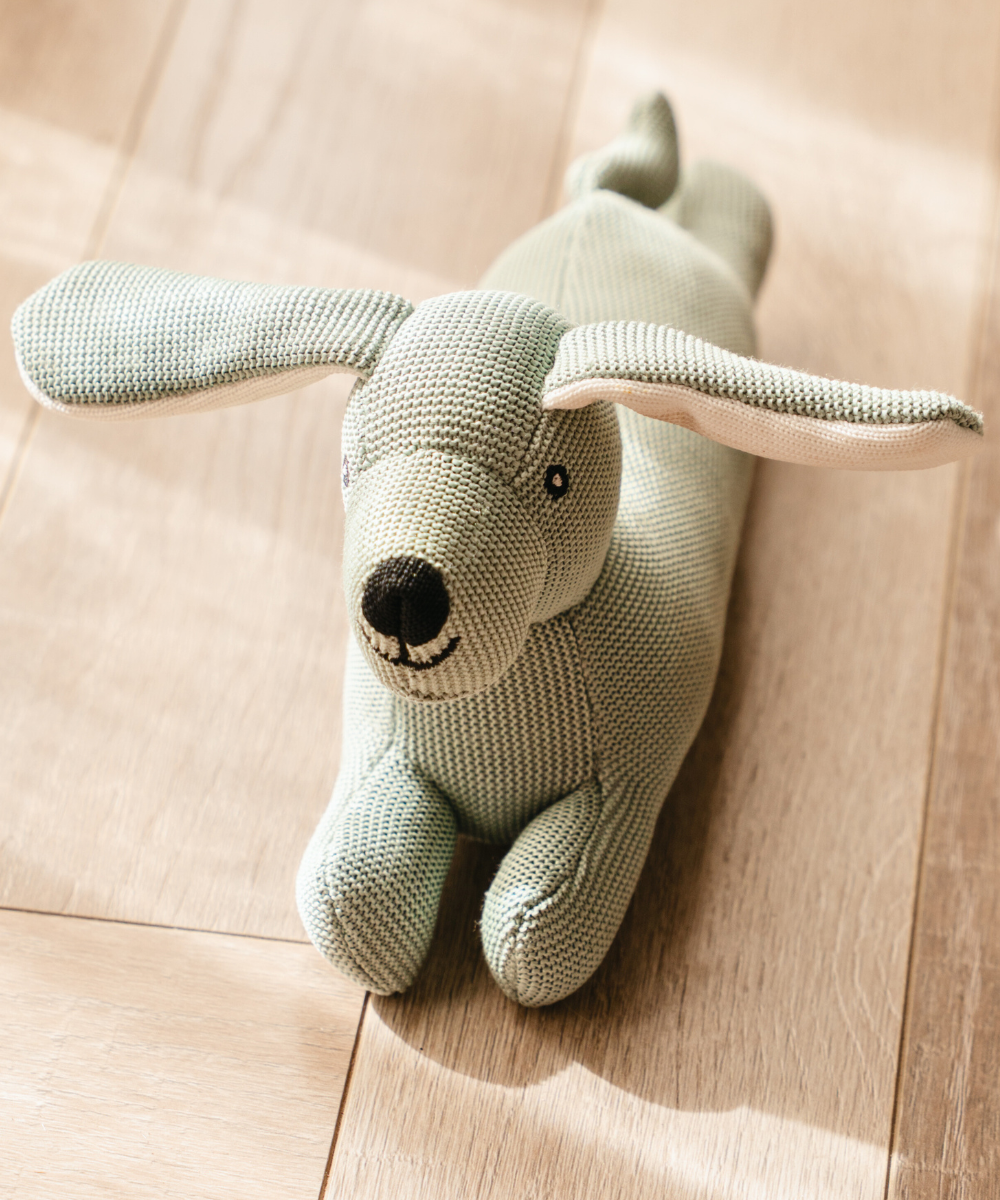 Pack of 2 Dog Toys- Playful