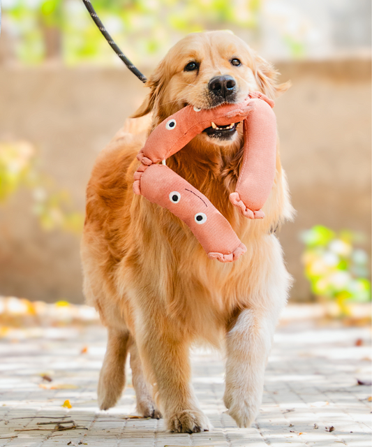 Sausage Plush Dog Toy
