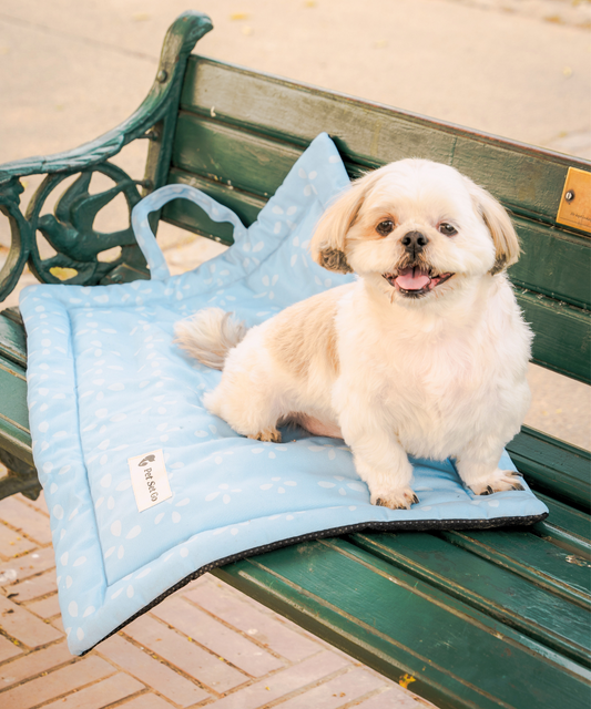 Sky Bloom Pet Mat