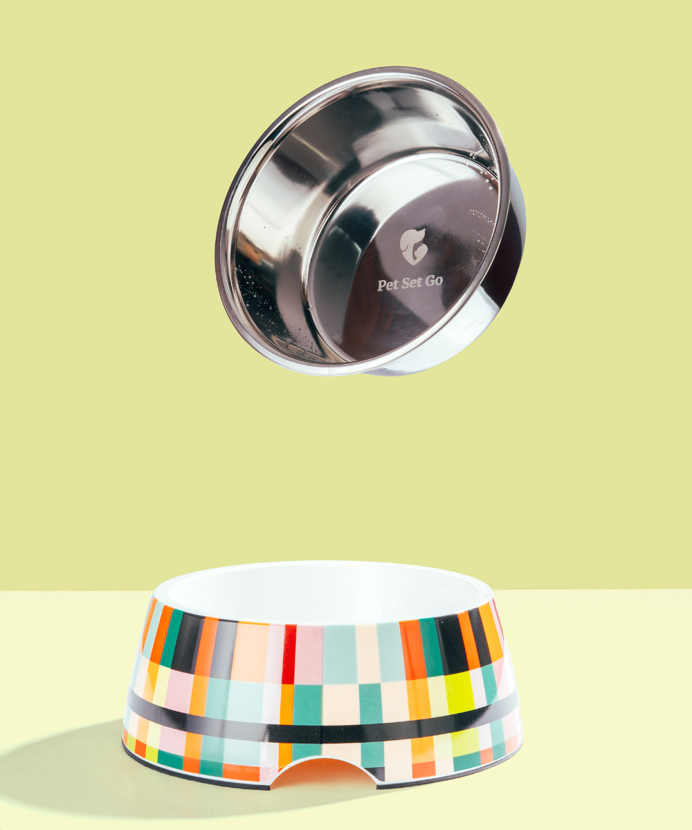 Super Saver Abstract Bowl & Long Plush Toy