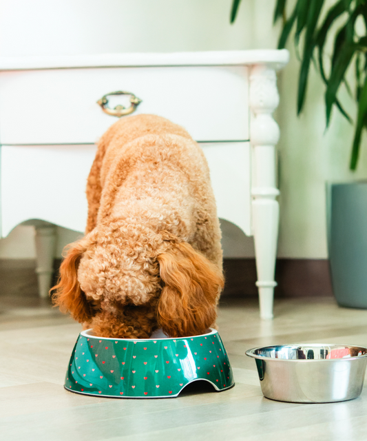 Super Saver Heart Bowl & Cheerful Pup Toy