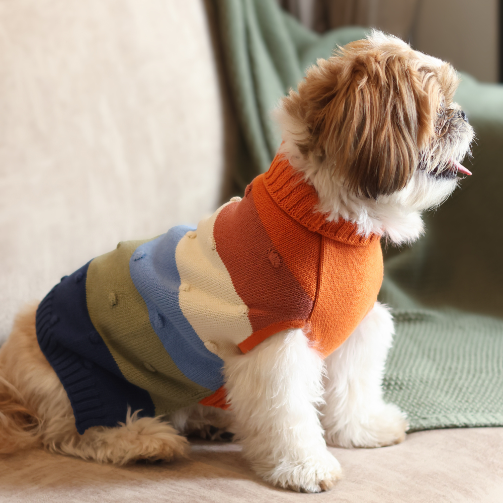 Jingle Dog sweaters Pack of 2