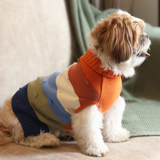 Jingle Dog sweaters Pack of 2