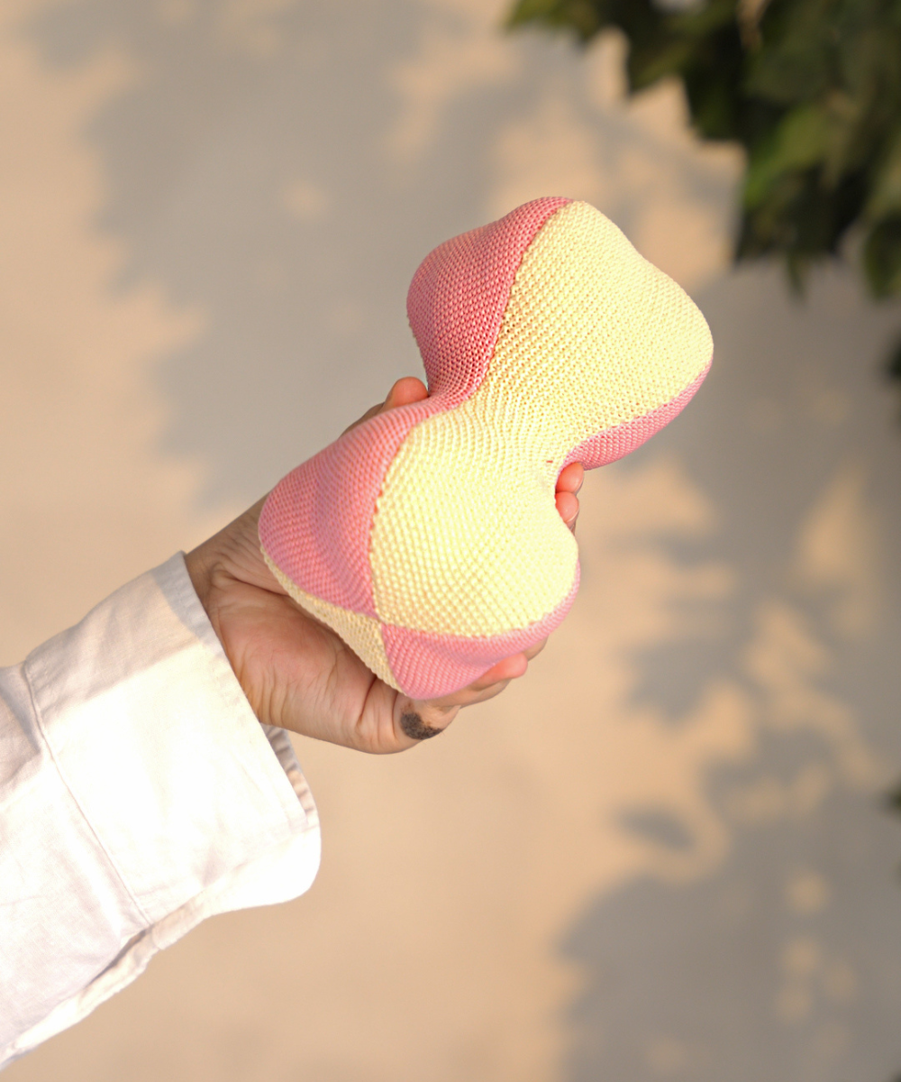 Pack of 2 Dog Toys- Playful