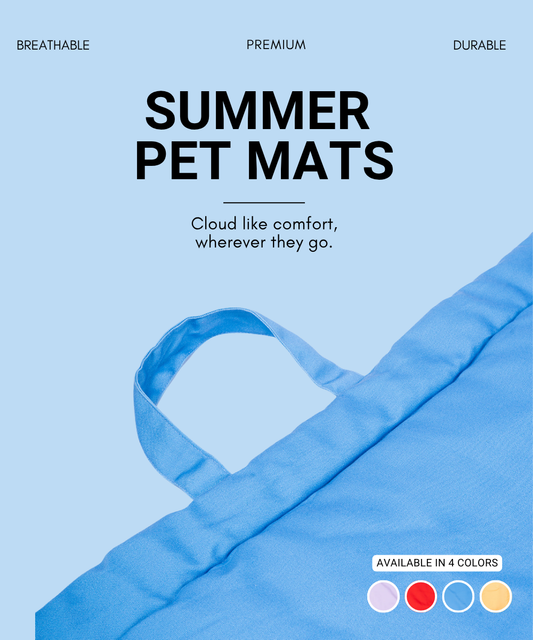 Coloured Pet Mat - Blue