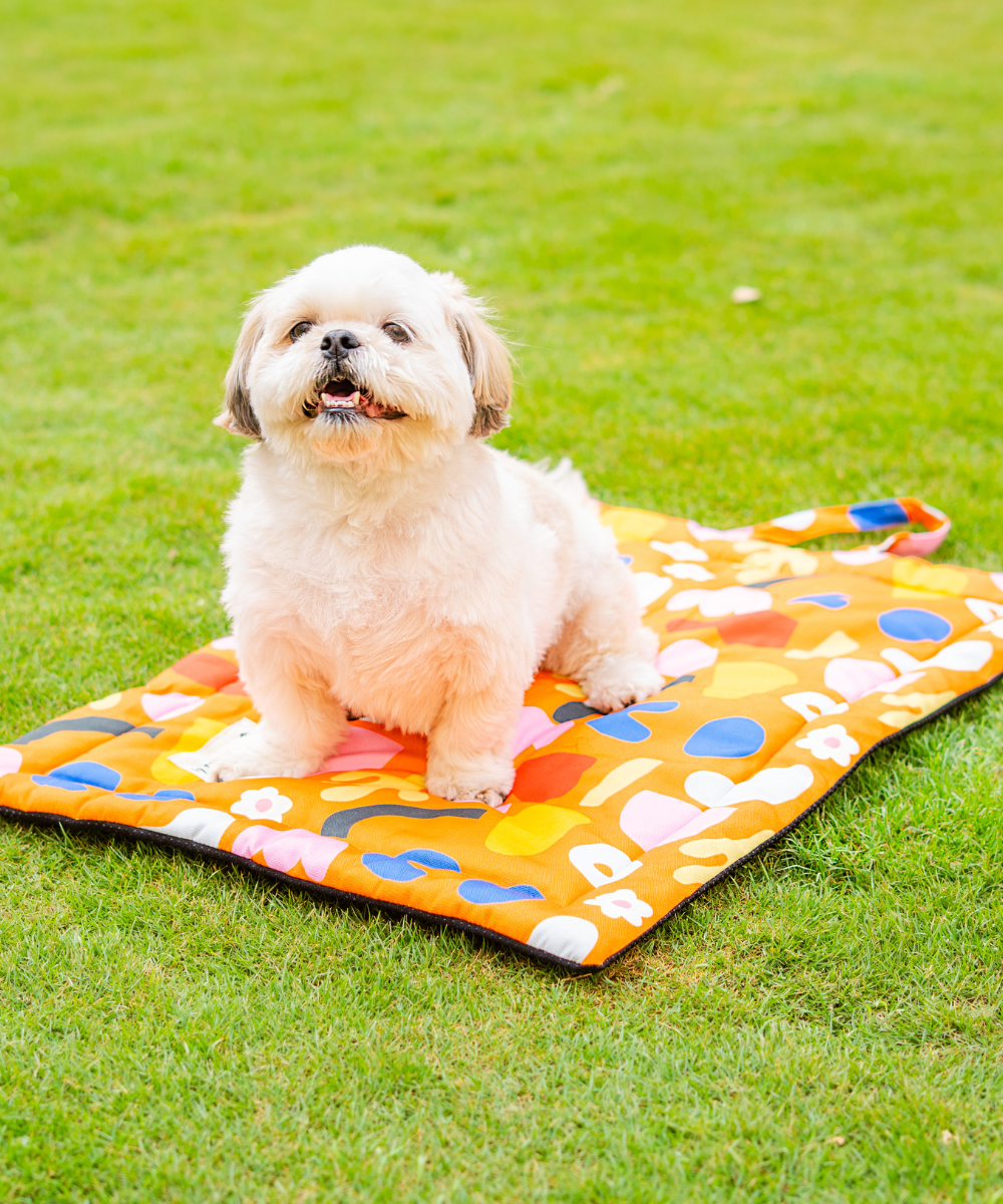 Blossom Bliss Pet Mat