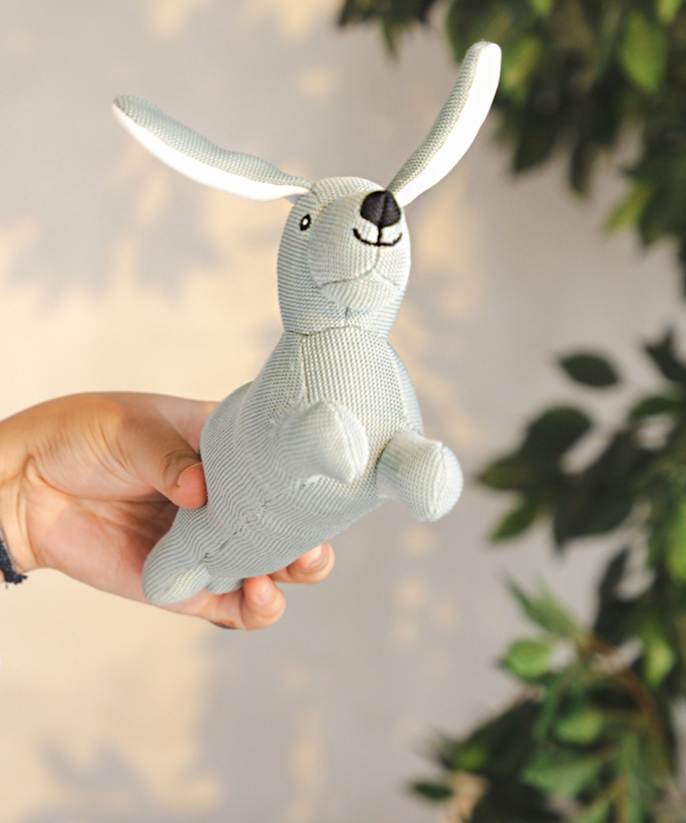 Pack of 2 Dog Toys- Playful