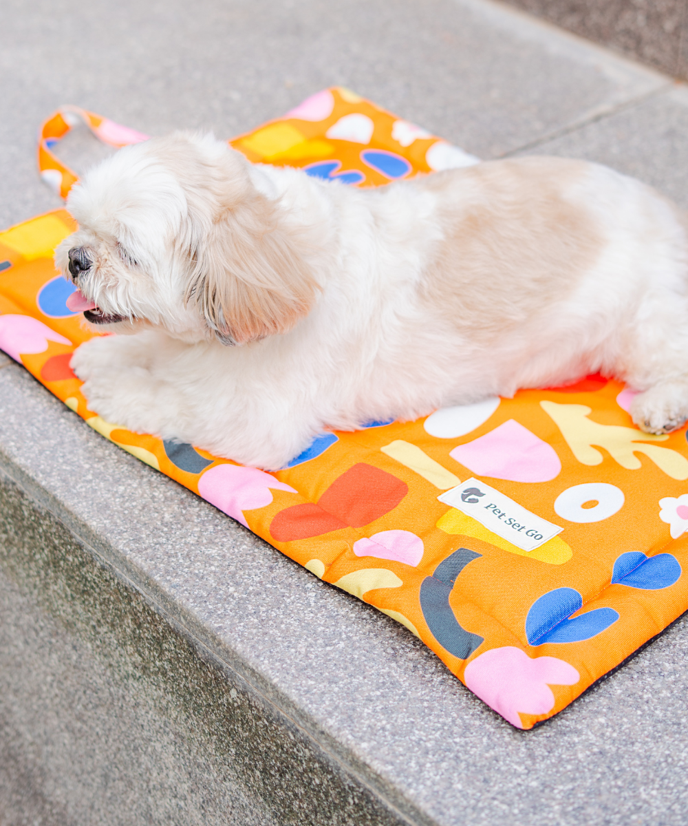 Blossom Bliss Pet Mat