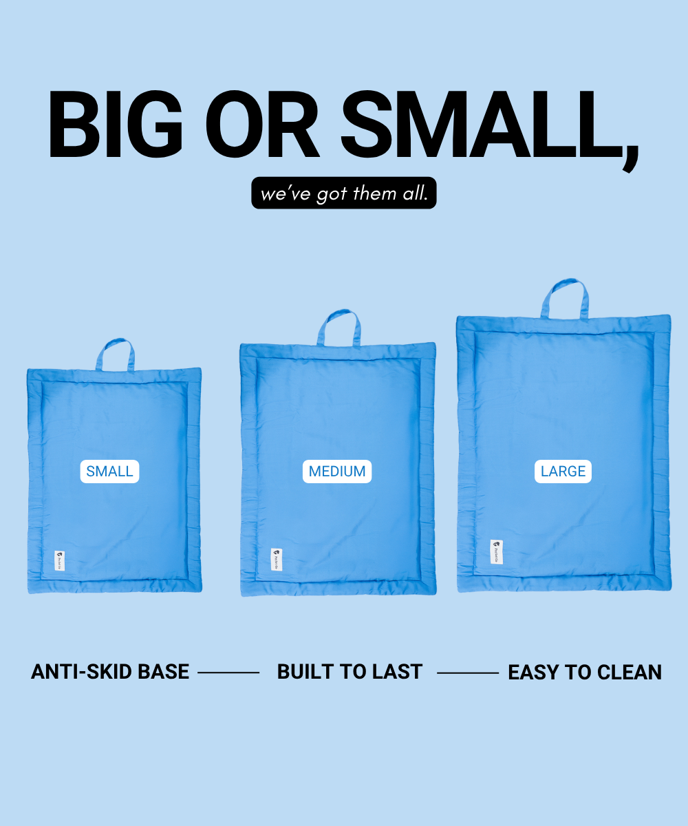 Coloured Pet Mat - Blue