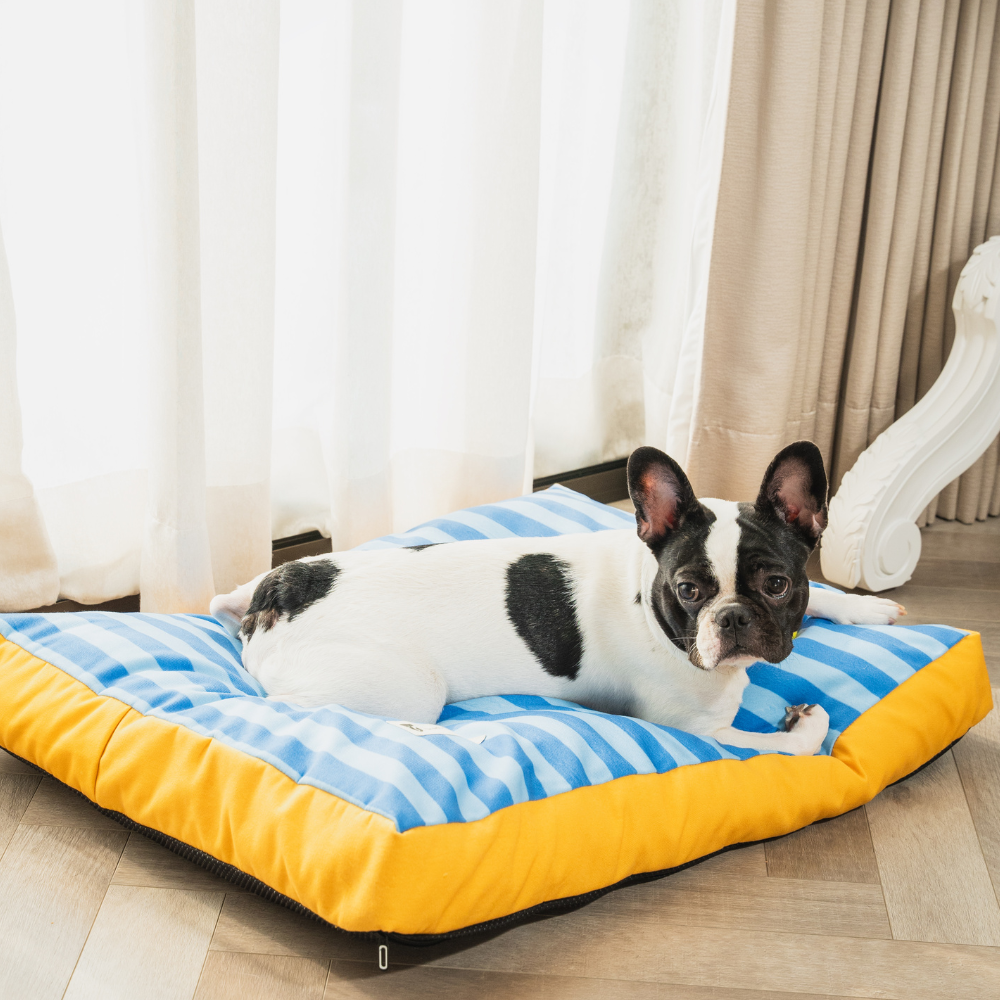 Woofy Mat & Flat Bed Combo Set Of 2