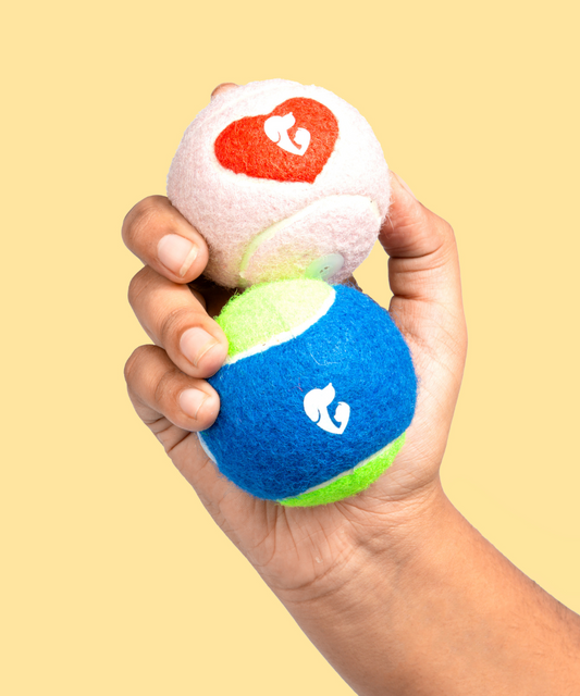 Pack of 2 Dog Ball -Twin