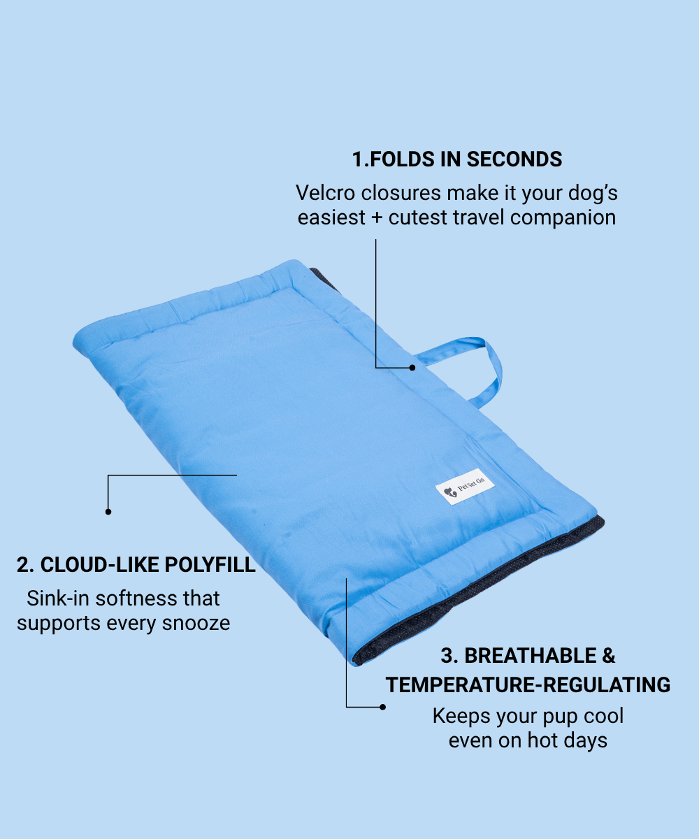 Coloured Pet Mat - Blue