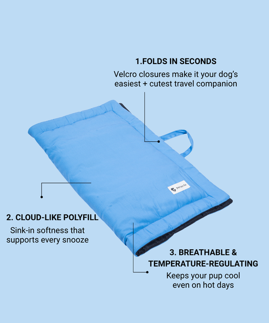 Coloured Pet Mat - Blue