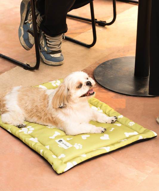 Paws & Bones Heaven Pet Mat