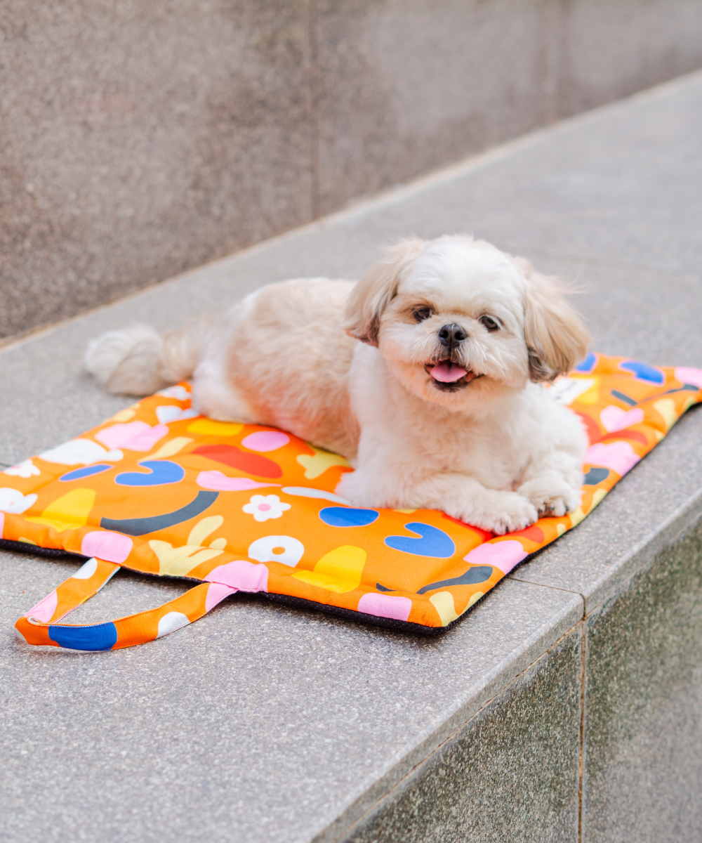 Blossom Bliss Pet Mat