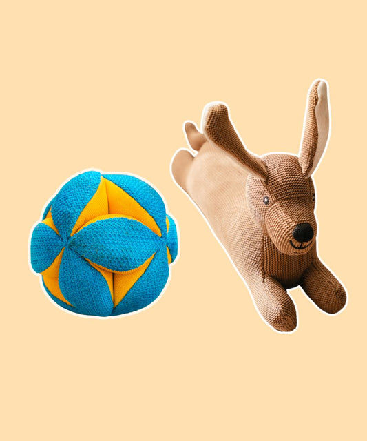 Pack of 2 Dog Toys- Goofy